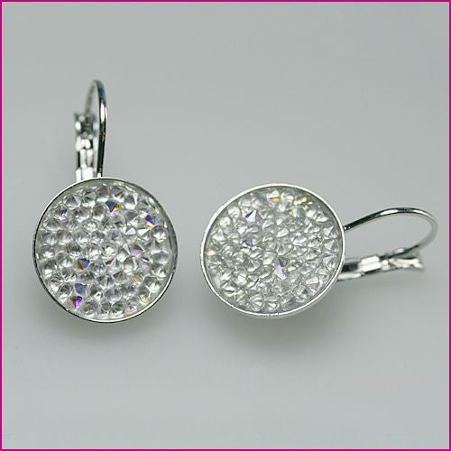 Edelstahl Ohrhänger mit Swarovski
